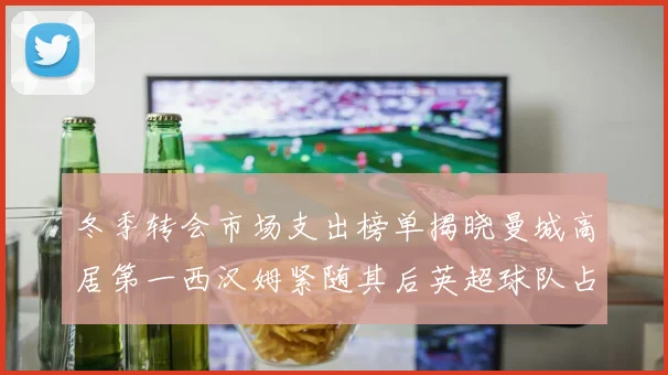 冬季转会市场支出榜单揭晓曼城高居第一西汉姆紧随其后英超球队占据五席
