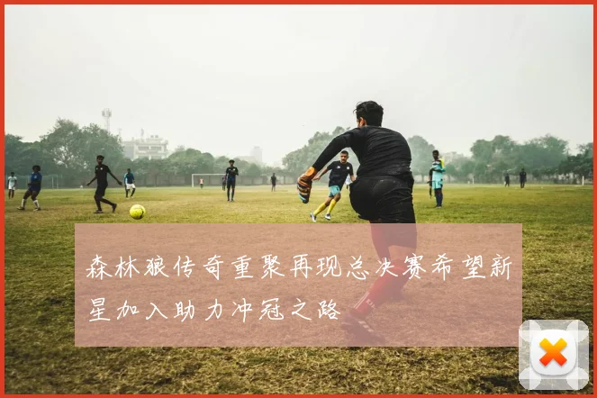 森林狼传奇重聚再现总决赛希望新星加入助力冲冠之路