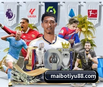迈博体育 APP（myballsports）